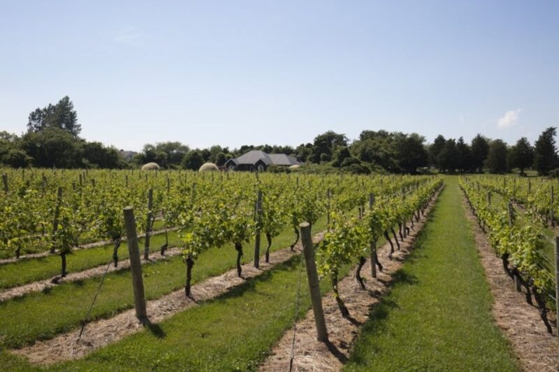 From NYC: Hamptons, Sag Harbor, and Outlet Shopping Day Trip - The Sum Up