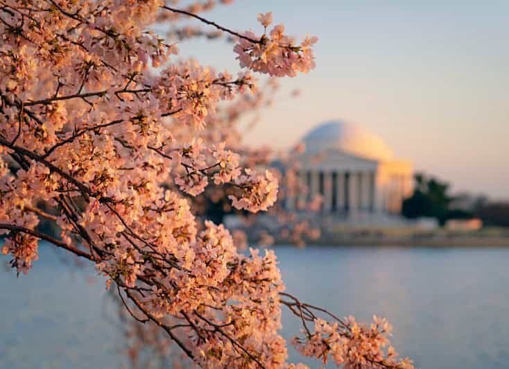From NYC: Niagara Falls, Washington DC and Boston 4-Day Trip - Breaking Down the Itinerary: What You Can Expect