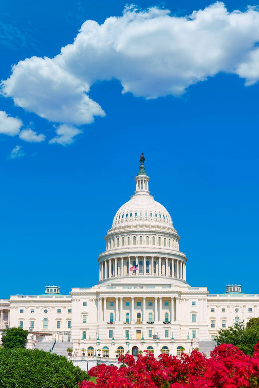From NYC: Private Washington & Philadelphia Tour in 1 Day - The Value and Experience