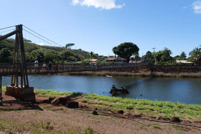From Oahu: Kauai Waimea Canyon and Koke'e Adventure Tour - FAQ