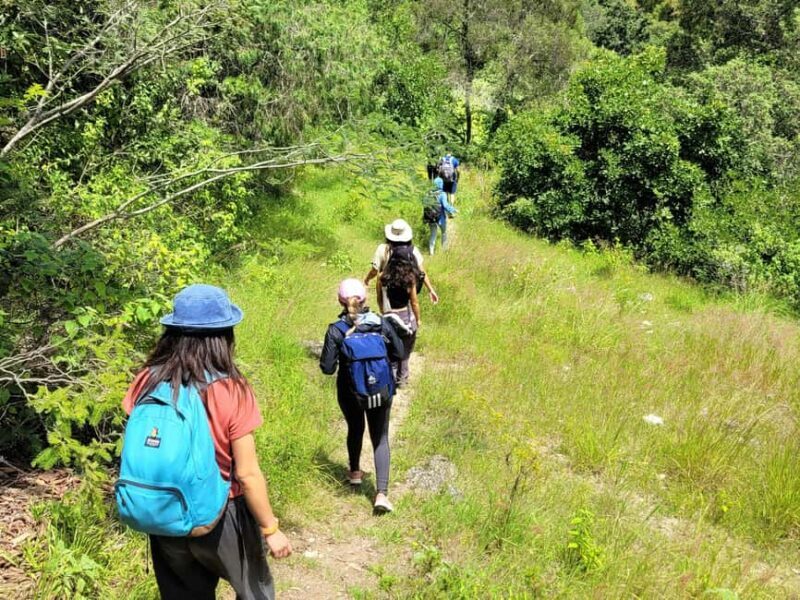 From Oaxaca: Apoala Magic Waterfalls Hike & Swim Adventure - An In-Depth Look at the Apoala Waterfalls Hike & Swim Adventure