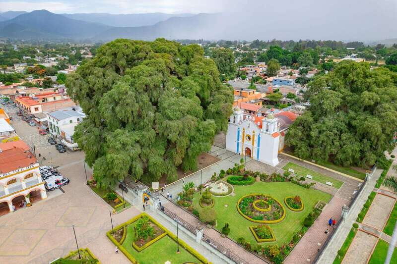 From Oaxaca: City, Mitla, and Mezcal Factory Tour - A Full Breakdown of the Tour Experience