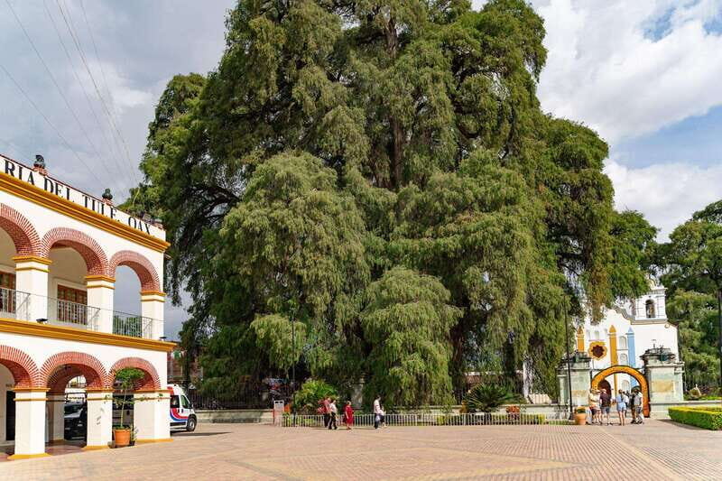 From Oaxaca: City, Mitla, and Mezcal Factory Tour - Authenticity and Value
