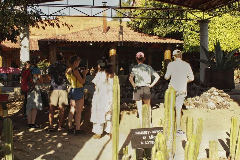 From Oaxaca de Juarez: Hierve el Agua and Mezcal Distillery - Key Points