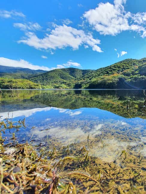 From Oaxaca: MTB Guided Bike Tour, Tule Tree & Lake Half-Day - Exploring Oaxaca on Two Wheels: A Detailed Look at the MTB Guided Bike Tour, Tule Tree & Lake Half-Day