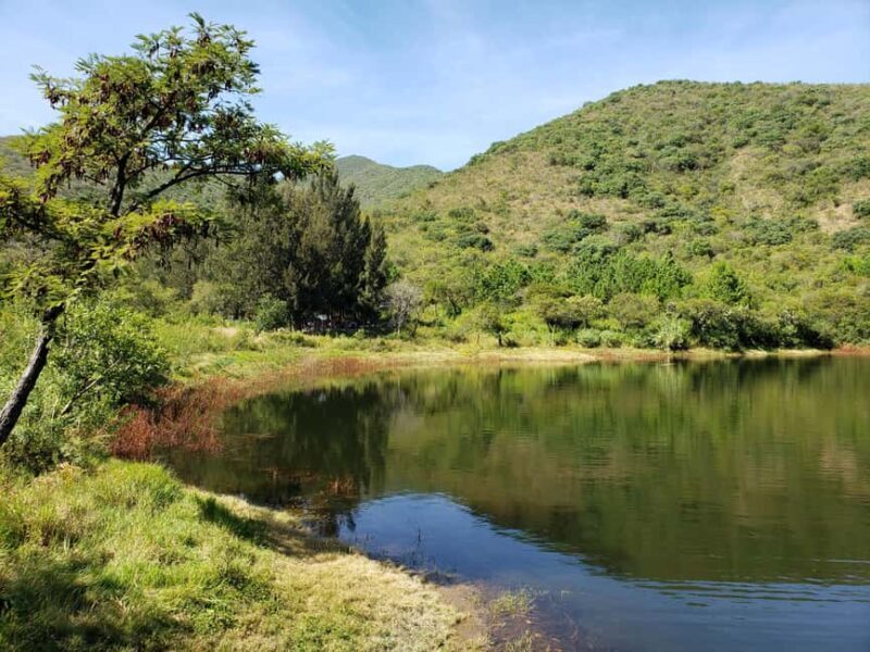 From Oaxaca: MTB Guided Bike Tour, Tule Tree & Lake Half-Day - Practical Tips for Participants