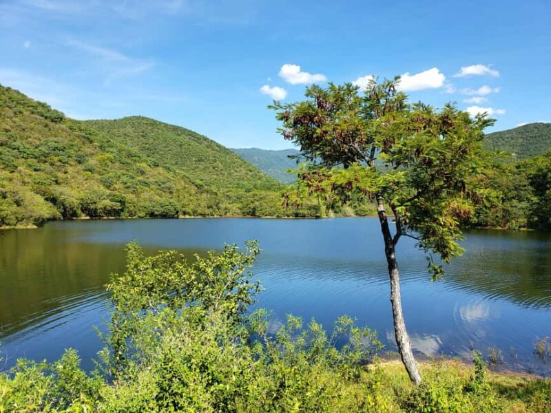 From Oaxaca: MTB Guided Bike Tour, Tule Tree & Lake Half-Day - Who Should Consider This Tour?