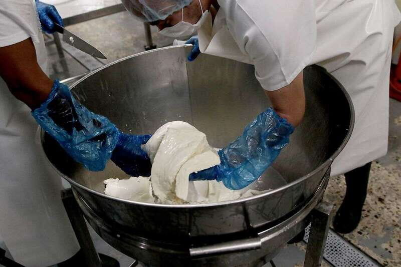 From Oaxaca: San Agustín Etla Quesillo and Papermaking Tour - Who This Tour Is Best For