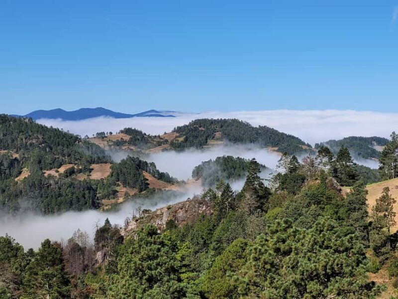 From Oaxaca: Sierra Norte Hike & Indigenous Village Full-Day - Exploring the Sierra Norte Hike & Indigenous Village Full-Day Tour from Oaxaca