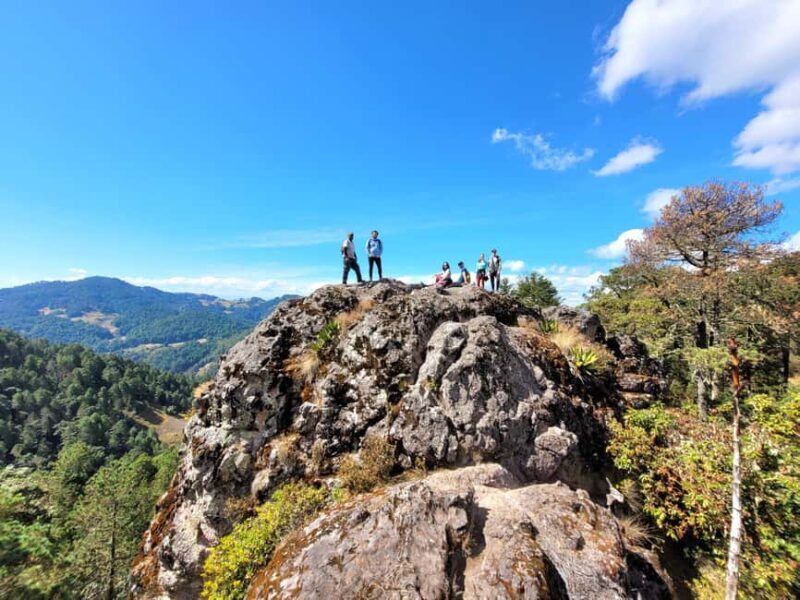 From Oaxaca: Sierra Norte Hike & Indigenous Village Full-Day - Analyzing the Value: Price and Experience