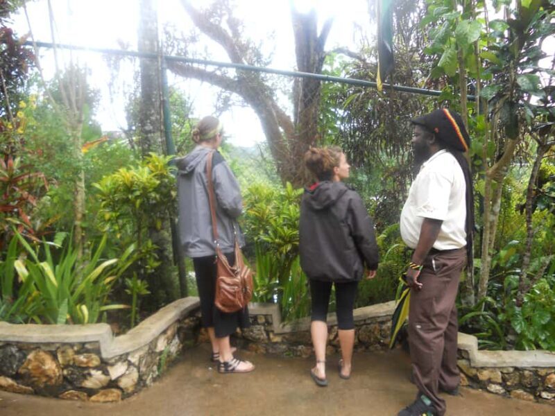 From Ocho Rios: Bob Marley & Dunns River Falls 6/7Hour Tour - Taking in Jamaican Culture