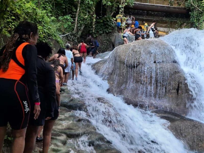 From Ocho Rios / Runaway Bay: Day Trip to Dunn's River Falls - What the Reviews Say