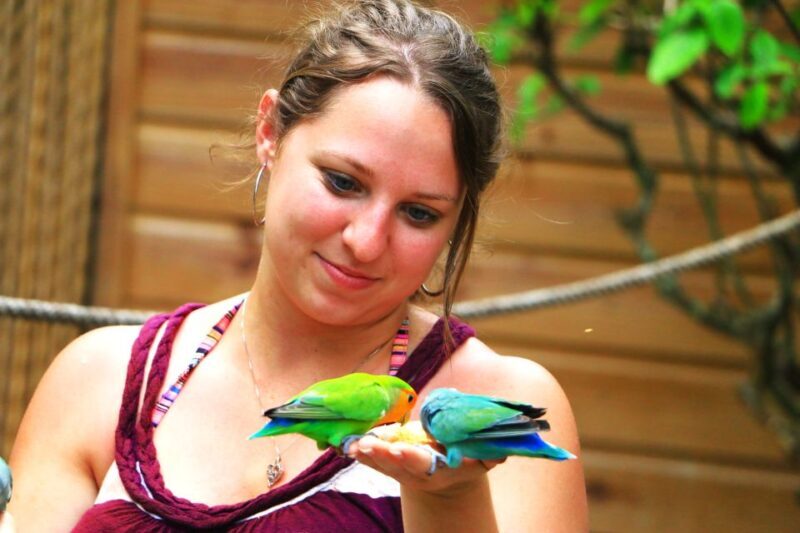 From Ocho Rios: Yaaman Adventure Park ATV Tour with Lunch - Key Points