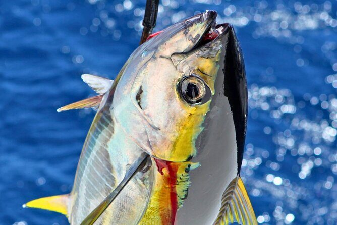 From Onna Village (Maeda Fishing Port)!Fishing and Trolling | Fully Chartered Boat Plan (3-Hour/6-Hour Course) - Key Points