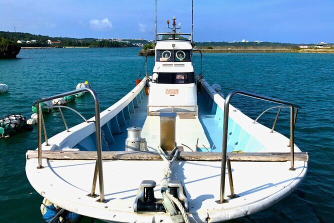 From Onna Village (Maeda Fishing Port)!Fishing and Trolling | Fully Chartered Boat Plan (3-Hour/6-Hour Course) - Who Will Love This Experience?