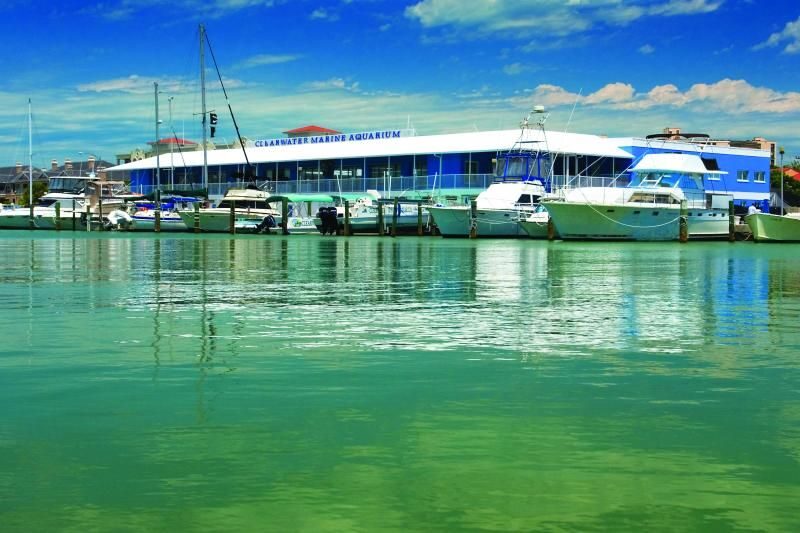 From Orlando: Clearwater Beach and Marine Aquarium Admission - An In-Depth Look at the Tour