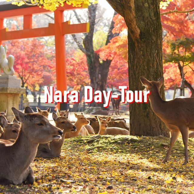 From Osaka: 10-hour Private Customized Tour to Nara - FAQs