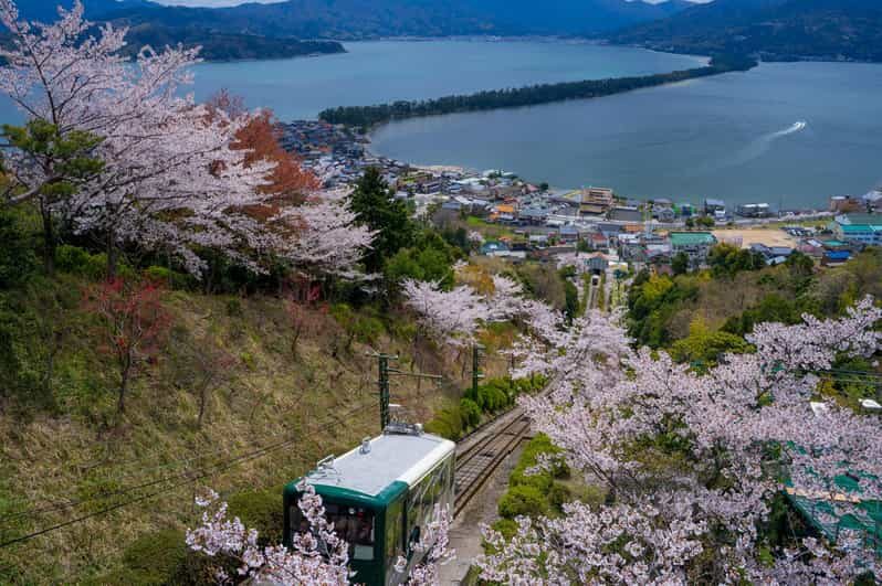 From Osaka: Amanohashidate and Ine Bay Day Trip - Who Will Love This Tour?