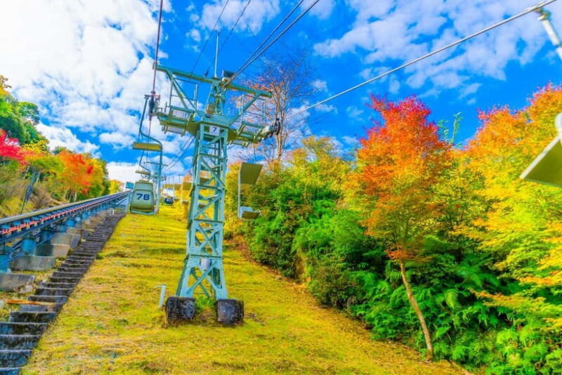 From Osaka: Amanohashidate and Ine Bay Day Trip - The Sum Up – Who Should Consider This Tour?