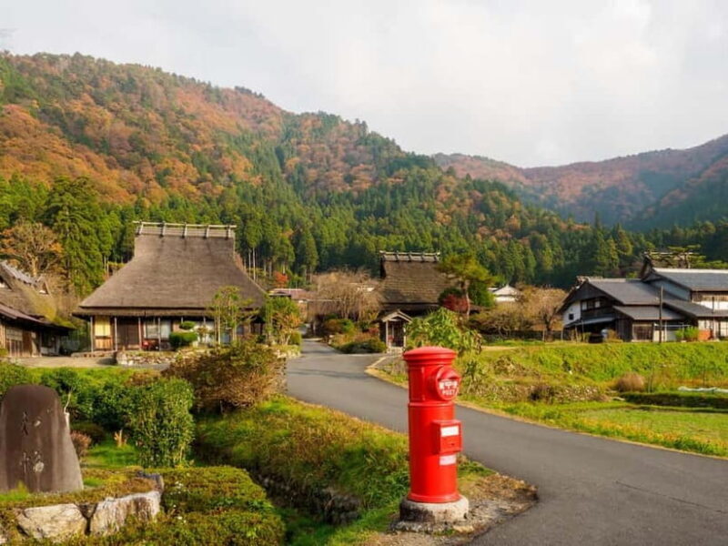 From Osaka/Kyoto: Amanohashidate Day Tour with Lunch - Authentic Experiences and Traveler Feedback