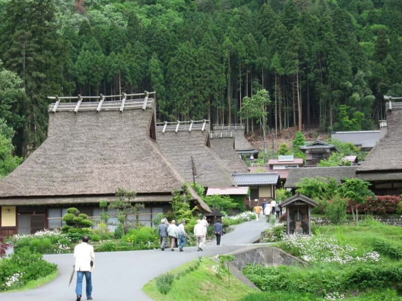 From Osaka/Kyoto: Amanohashidate Day Tour with Lunch - Final Thoughts