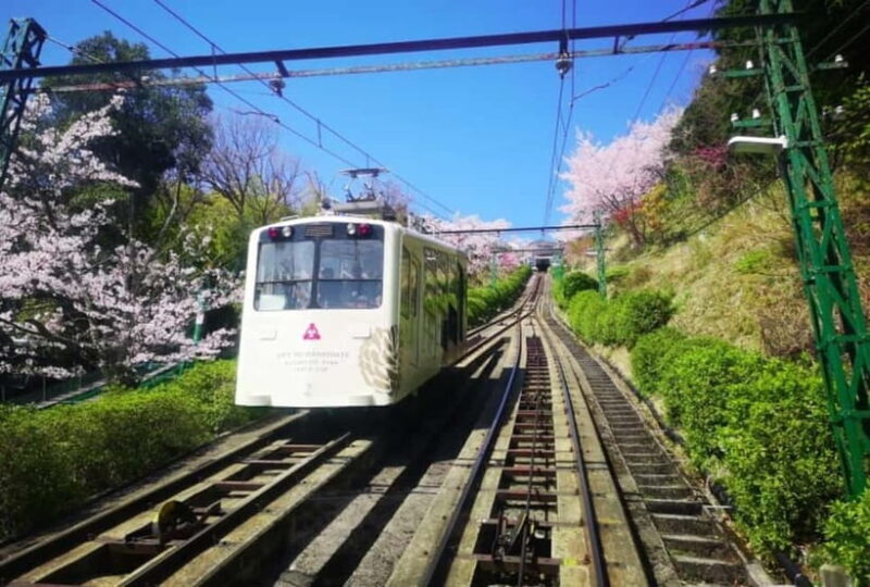 From Osaka/Kyoto: Amanohashidate Day Tour with Lunch - Final Word