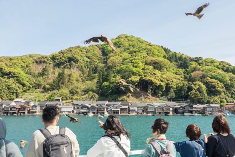 From Osaka/Kyoto: Amanohashidate Day TourIncluding tickets - Who This Tour Is Perfect For