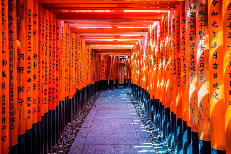 From Osaka/Kyoto: Arashiyama, Nara Park, Fushimi Shrine Tour - A Practical and Balanced Overview of the Tour