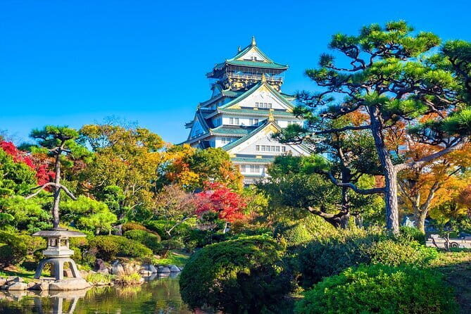 From Osaka/Kyoto: Kyoto & Nara Day Trip with Lunch - Practical Aspects & Tips