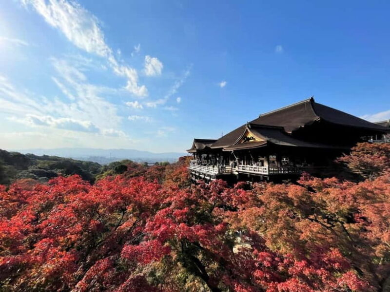 From Osaka/Kyoto: Kyoto UNESCO World Heritage Sites Day Tour - An In-Depth Look at the Itinerary