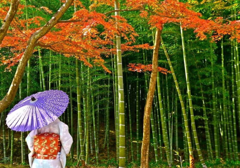 From Osaka/Kyoto: Kyoto UNESCO World Heritage Sites Day Tour - Cost and Value