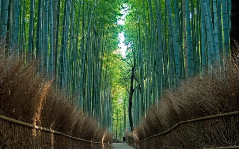 From Osaka/Kyoto: Kyoto UNESCO World Heritage Sites Day Tour - The Sum Up: Is It Worth It?