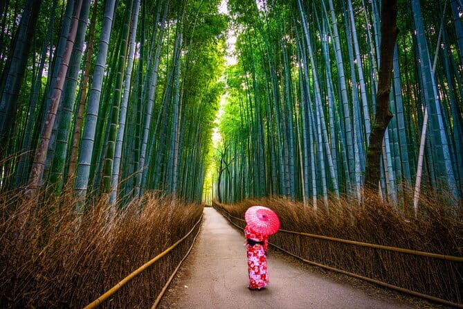 From Osaka: Kyoto Must-see Spots & Nara Park Sightseeing Day Tour - An In-Depth Look at the Tour Experience