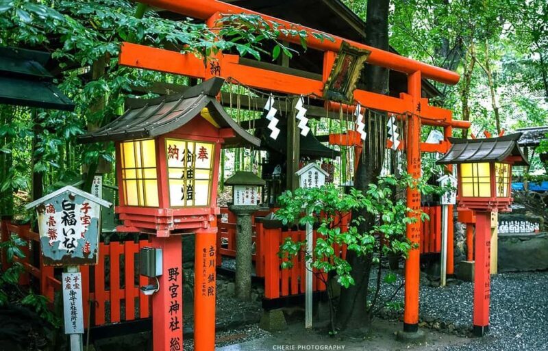 From Osaka: Kyoto, Nara, Fushimi Inari & Arashiyama Day Tour - Key Points