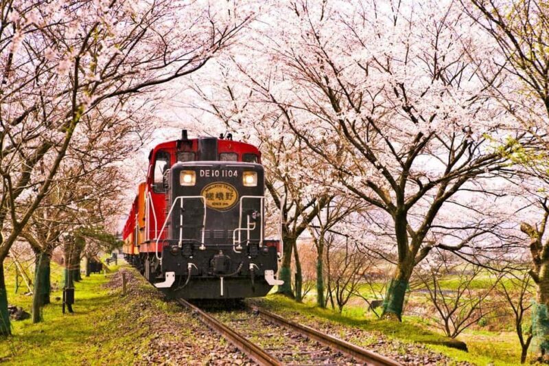 From Osaka: Kyoto, Nara, Fushimi Inari & Arashiyama Day Tour - An Overview of the Itinerary and What to Expect