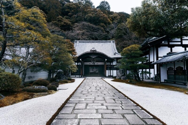 From Osaka/Kyoto: Private Kyoto and Nara Day Trip - An In-Depth Look at the Tour Experience