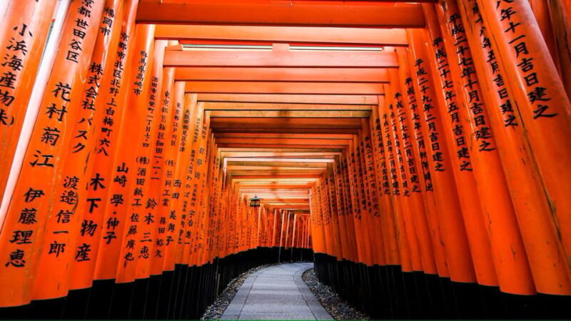 From Osaka/Kyoto: Private Kyoto and Nara Day Trip - The Value of This Tour