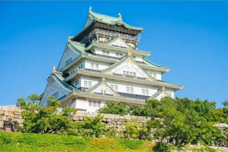 From Osaka/Kyoto : Private Osaka Day Trip w/Pickup & Dropoff - A Deep Dive into the Experience
