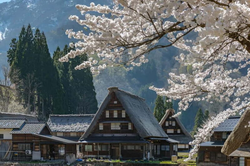 From Osaka/Kyoto: Shirakawa-go and Gokayama Day Tour - FAQs