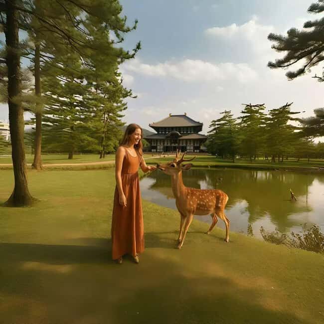 From Osaka/Kyoto:Kyoto&Nara Private day trip with pick up - Food and Cultural Flavors