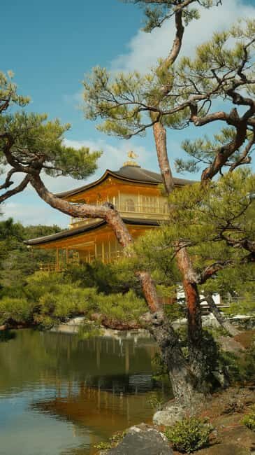 From Osaka/Kyoto:Kyoto&Nara Private day trip with pick up - Transportation and Timing