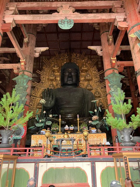 From Osaka: Nara Private Tour with Meet-Up at Your Hotel - First-Hand Experiences: What Travelers Are Saying