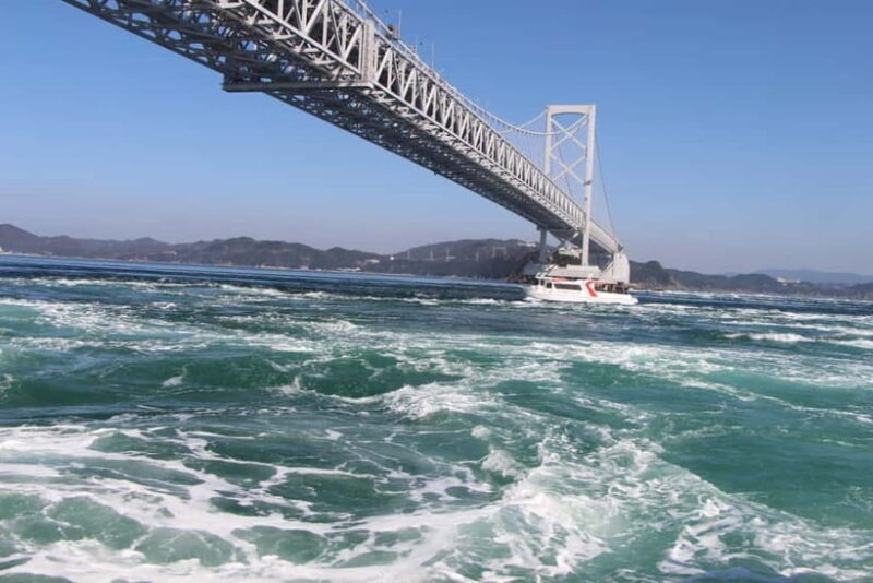 From Osaka: Naruto Whirlpool Boat & Awa Odori 1Day Bus Tour - Final Thoughts: Who Should Take This Tour?