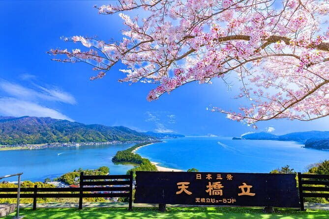 From Osaka or Kyoto: Full Day Sightseeing Tour of Kyoto - FAQ