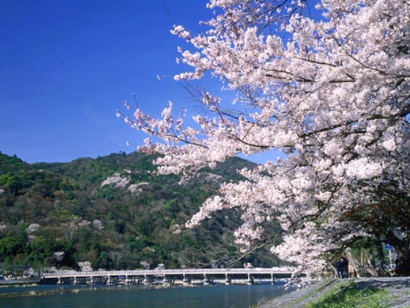 From Osaka: Sagano Train Ride and Kyoto Guided Day Tour - The Itinerary in Detail