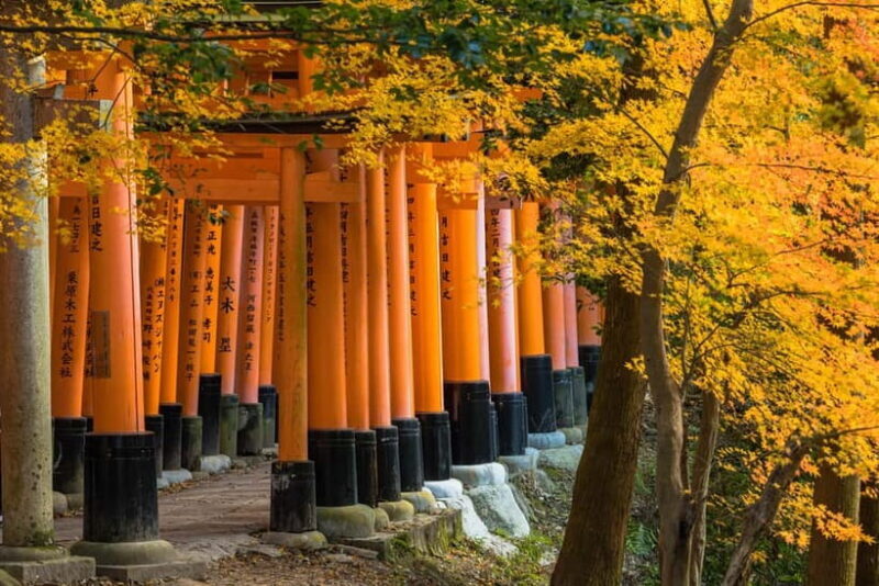 From Osaka: Sagano Train Ride and Kyoto Guided Day Tour - What Reviewers Say