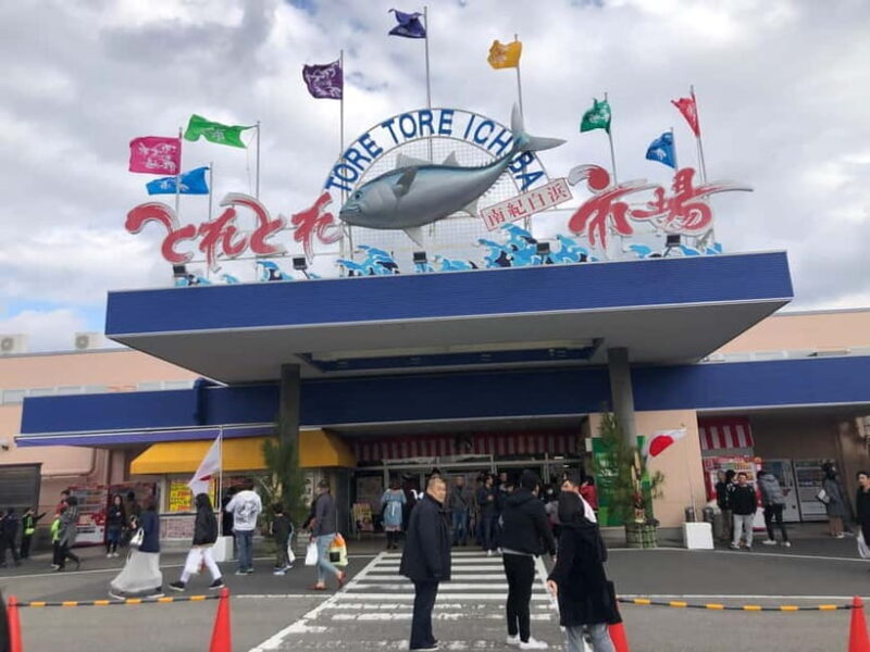 From Osaka: Shirahama Coastal Scenery Day Tour - Final Thoughts: Who Should Consider This Tour?