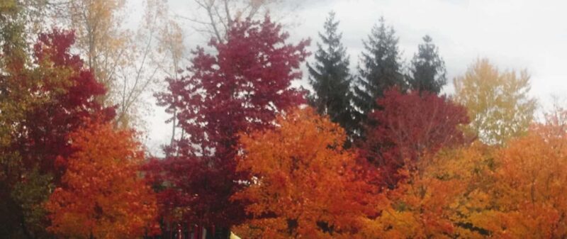 From Ottawa: Gatineau Park Fall Colors Guided Trip - The Sum Up