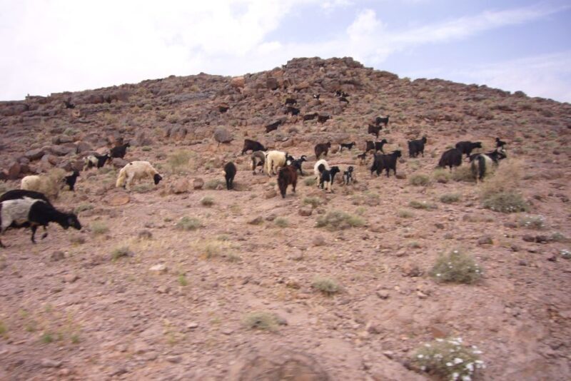 From Ouarzazate: 2-Day Erg Lihdoui and Mhamid Desert Tour - Introduction