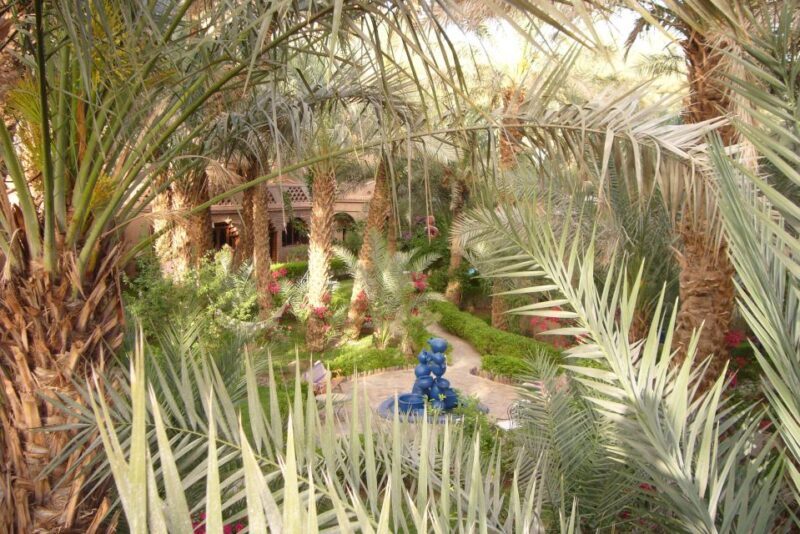 From Ouarzazate: 2-Day Erg Lihdoui and Mhamid Desert Tour - The Sum Up